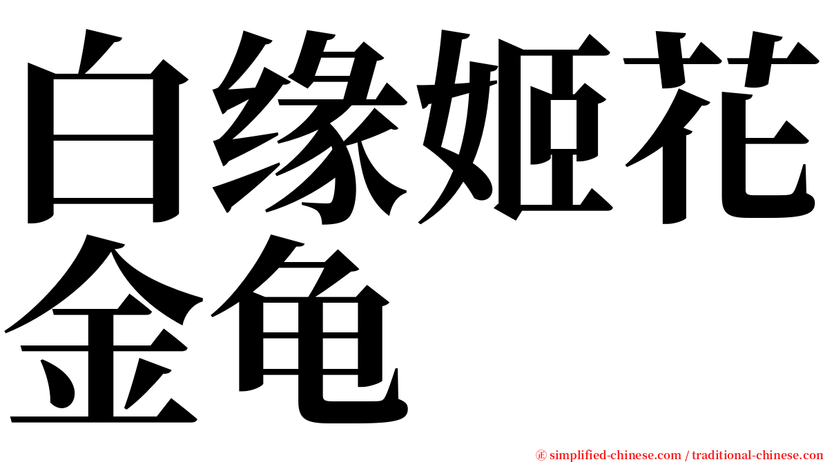 白缘姬花金龟 serif font