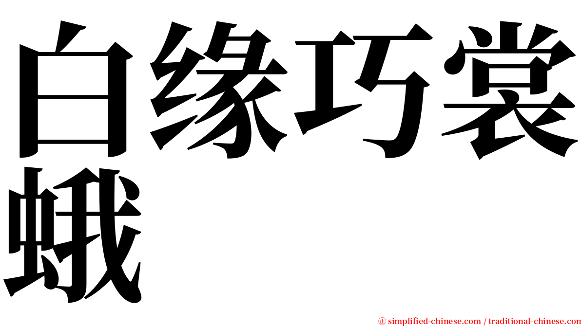 白缘巧裳蛾 serif font