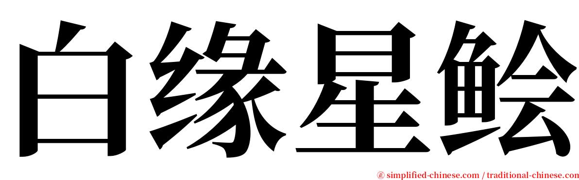 白缘星鲙 serif font