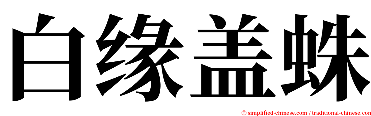 白缘盖蛛 serif font