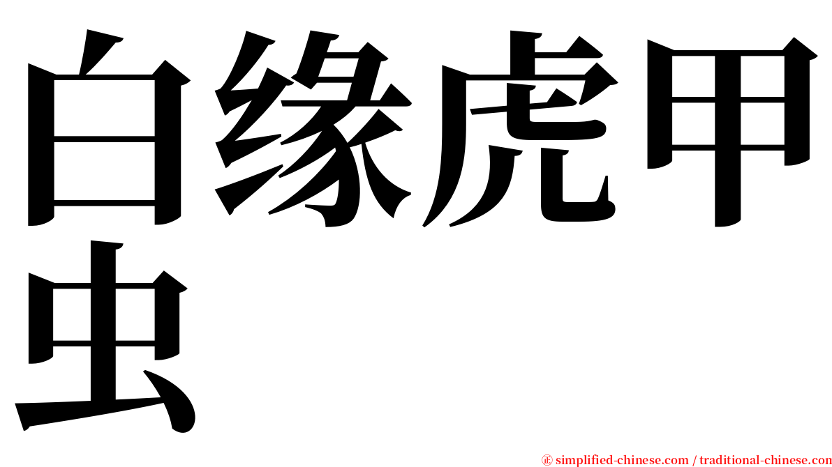 白缘虎甲虫 serif font