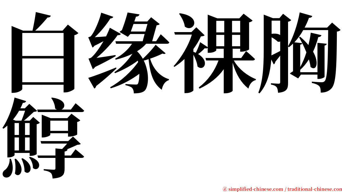 白缘裸胸鯙 serif font