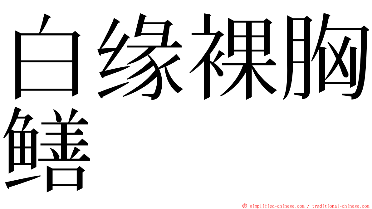 白缘裸胸鳝 ming font