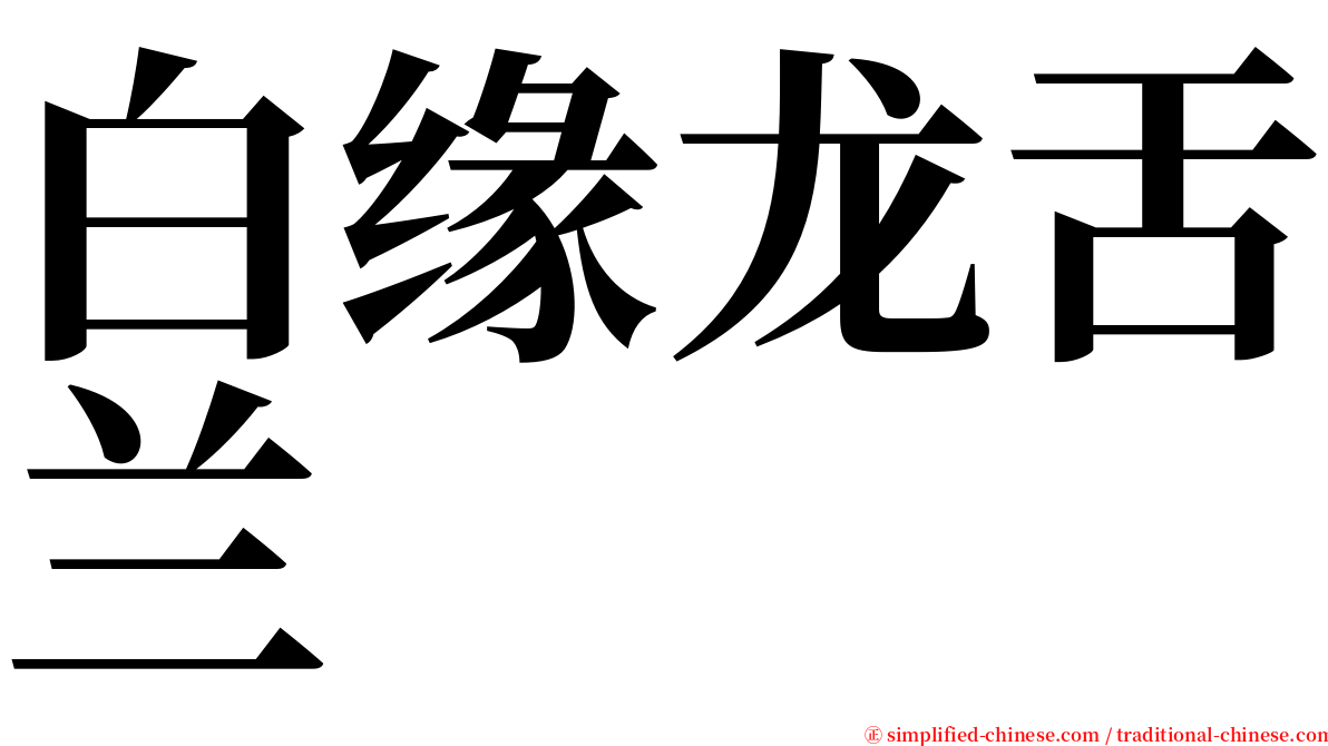 白缘龙舌兰 serif font