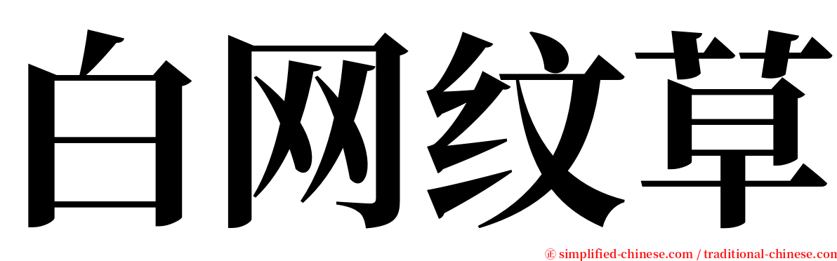 白网纹草 serif font