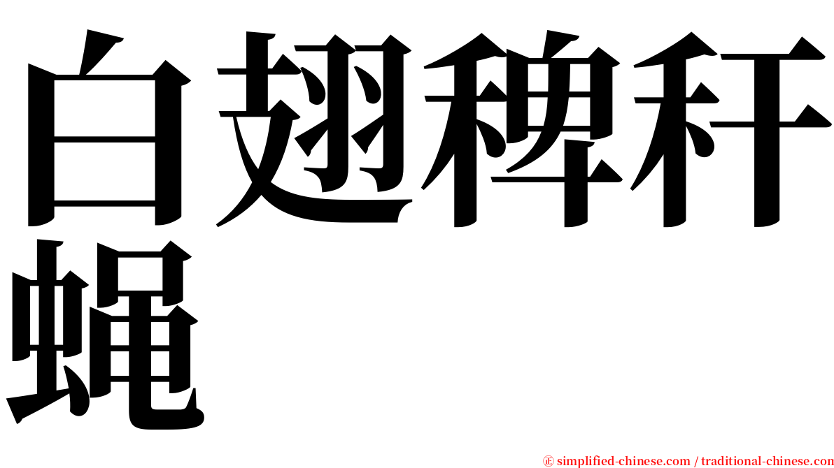 白翅稗秆蝇 serif font