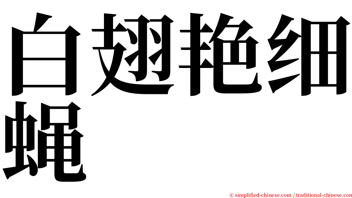 白翅艳细蝇 serif font