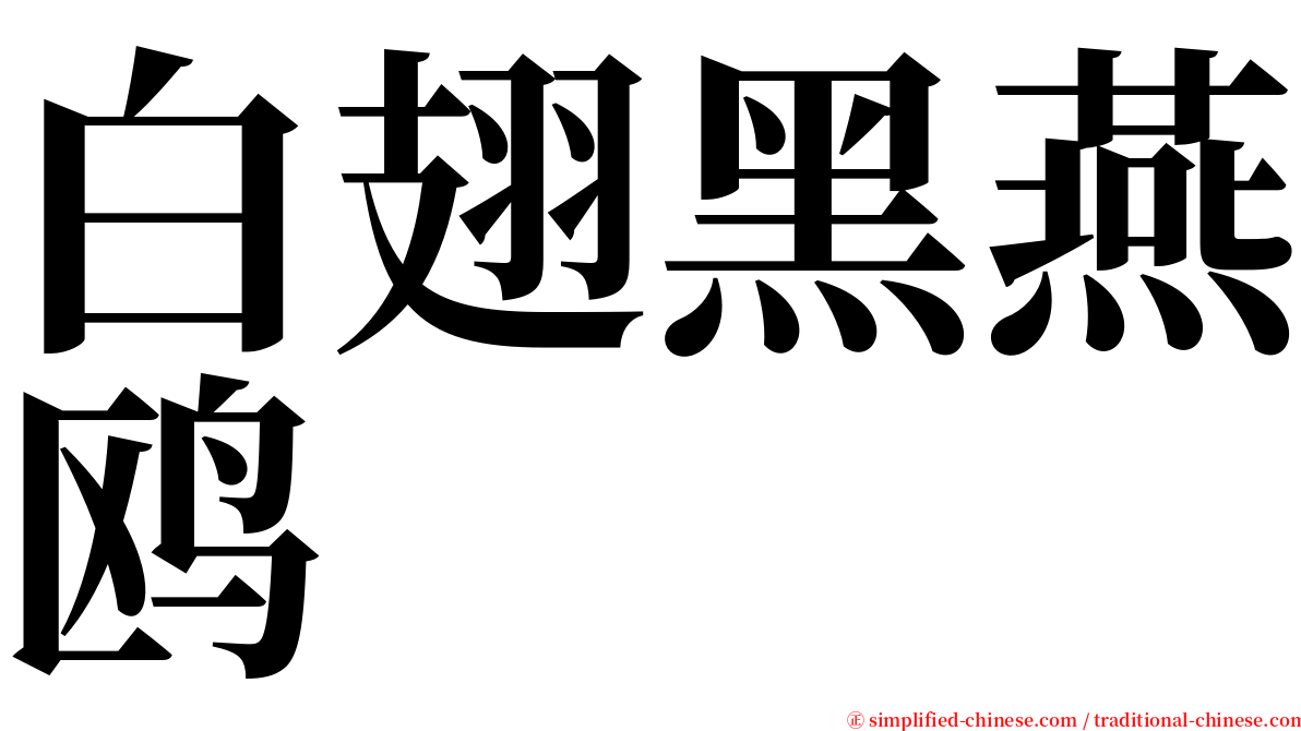 白翅黑燕鸥 serif font