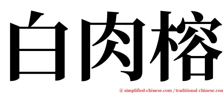 白肉榕 serif font