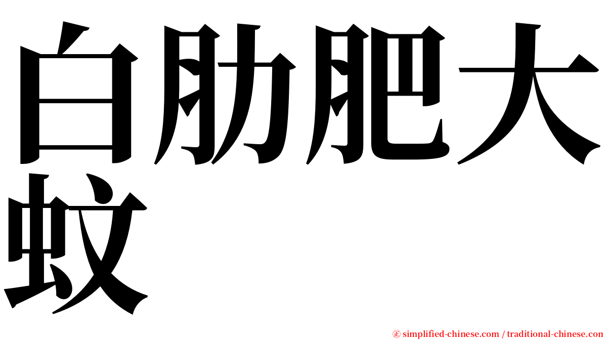 白肋肥大蚊 serif font