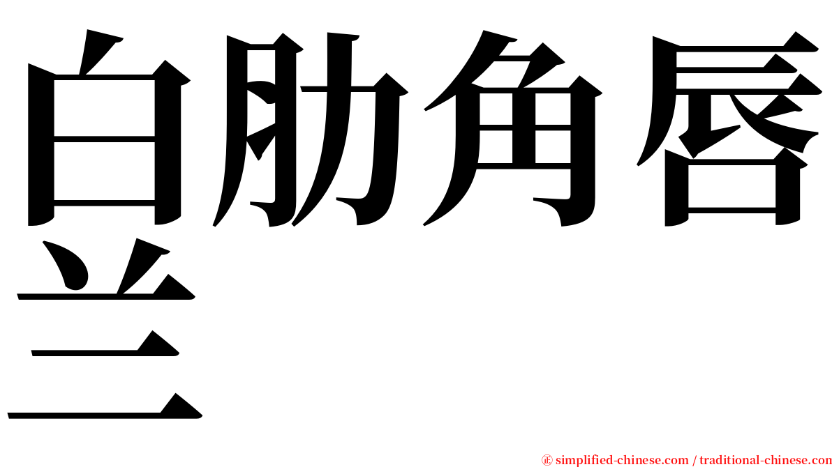 白肋角唇兰 serif font