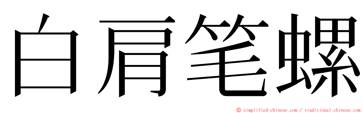 白肩笔螺 ming font