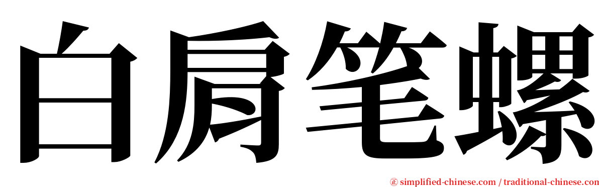 白肩笔螺 serif font