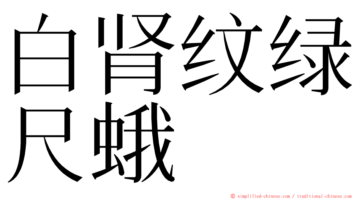 白肾纹绿尺蛾 ming font