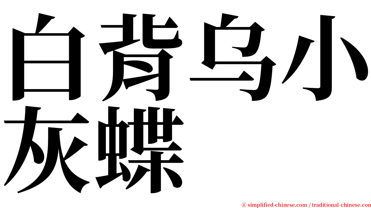 白背乌小灰蝶 serif font