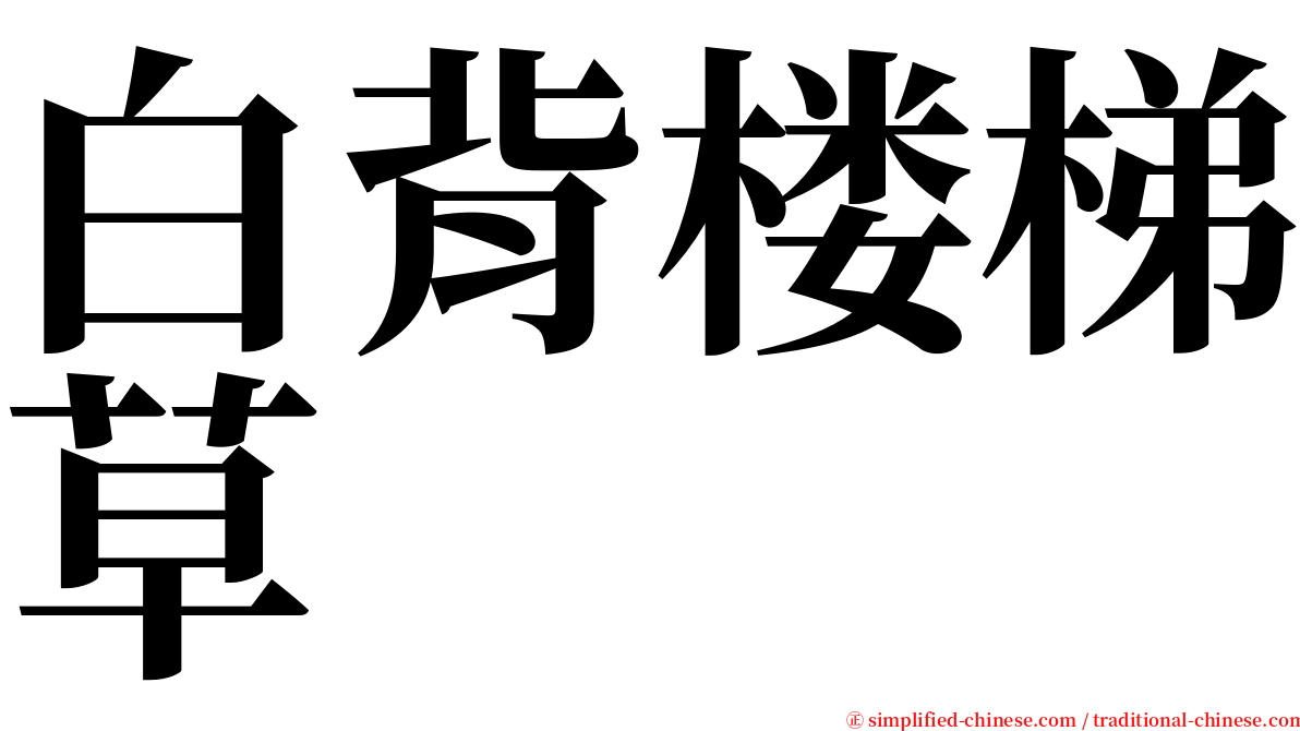 白背楼梯草 serif font