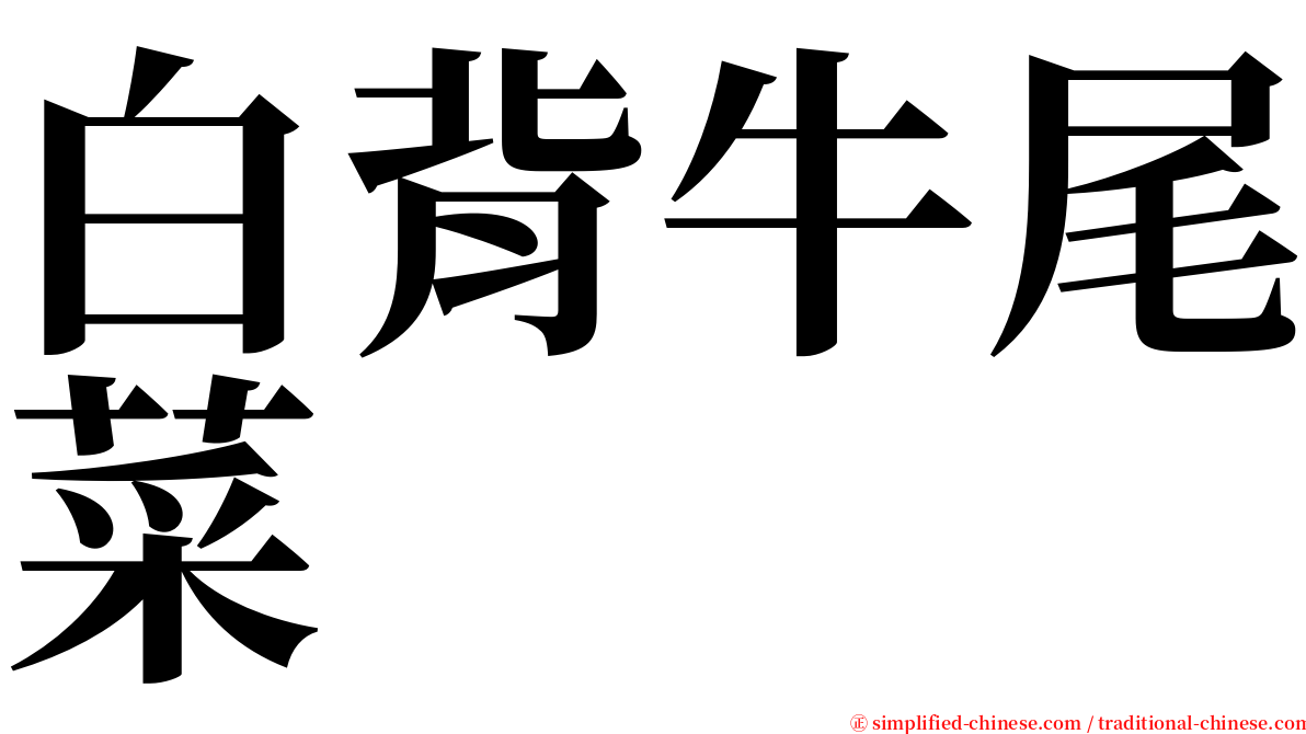 白背牛尾菜 serif font