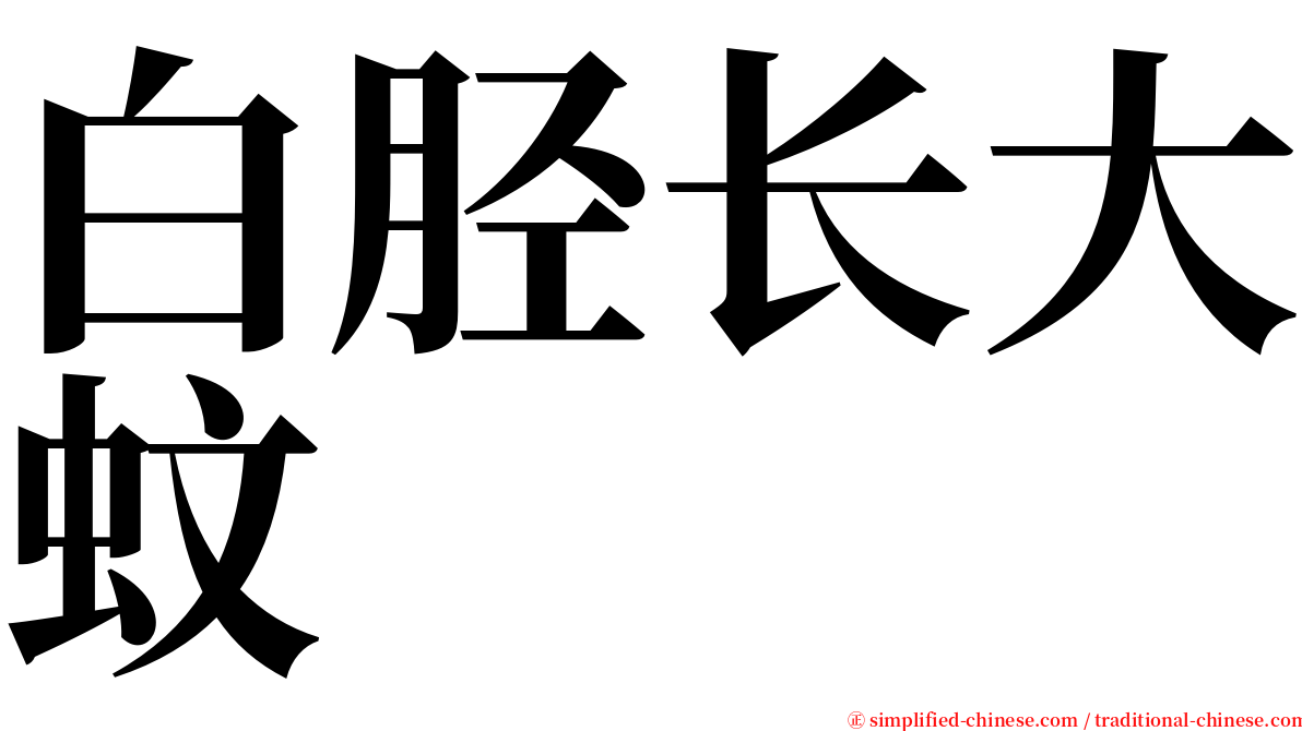 白胫长大蚊 serif font