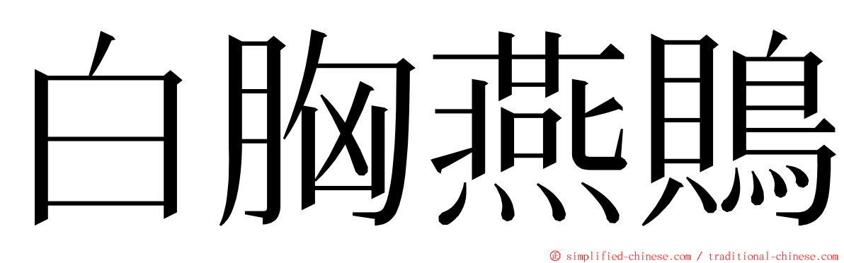 白胸燕鵙 ming font