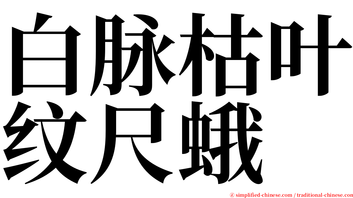 白脉枯叶纹尺蛾 serif font