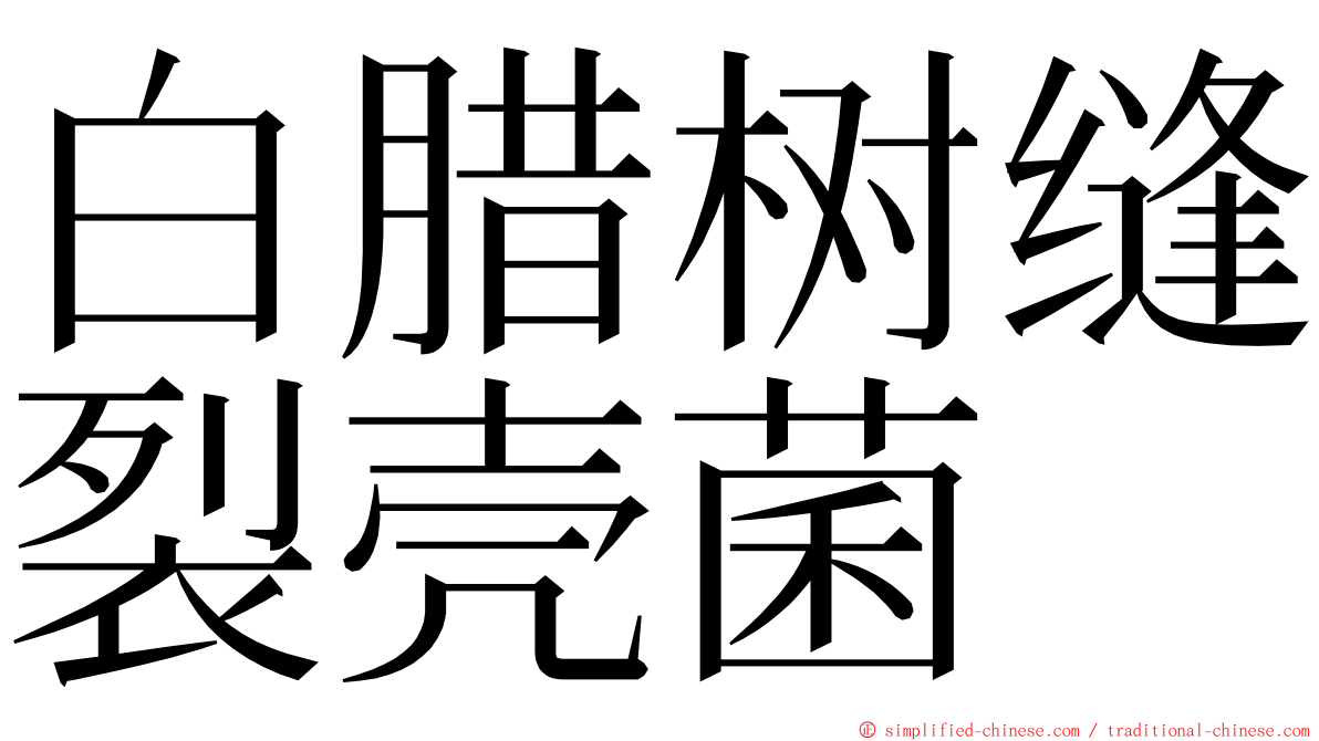 白腊树缝裂壳菌 ming font