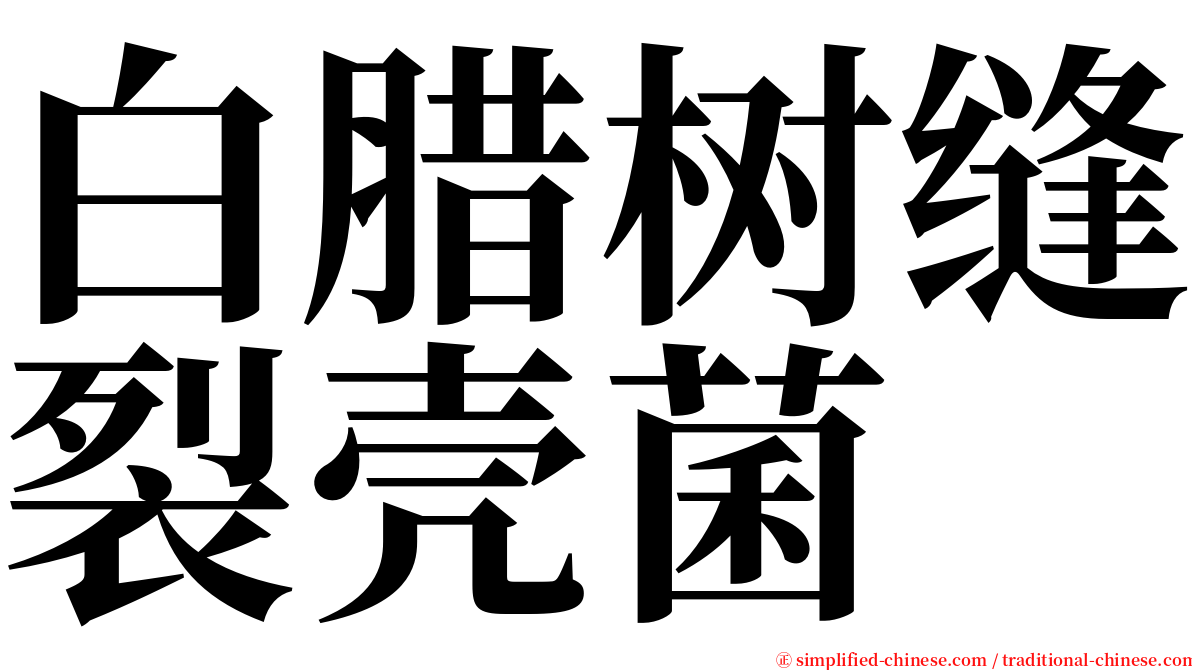 白腊树缝裂壳菌 serif font