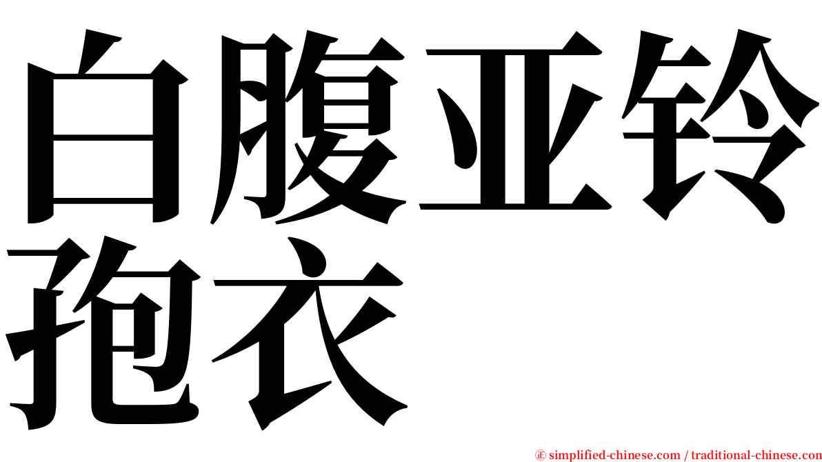 白腹亚铃孢衣 serif font