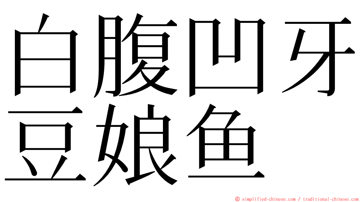 白腹凹牙豆娘鱼 ming font