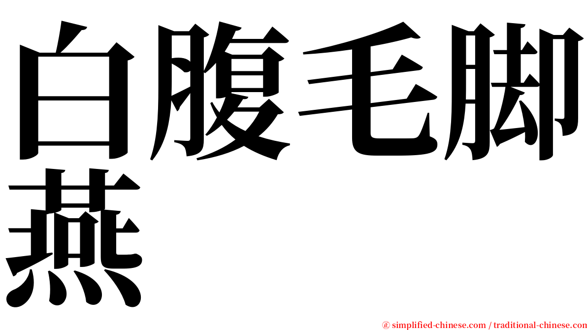 白腹毛脚燕 serif font