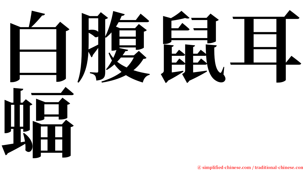 白腹鼠耳蝠 serif font