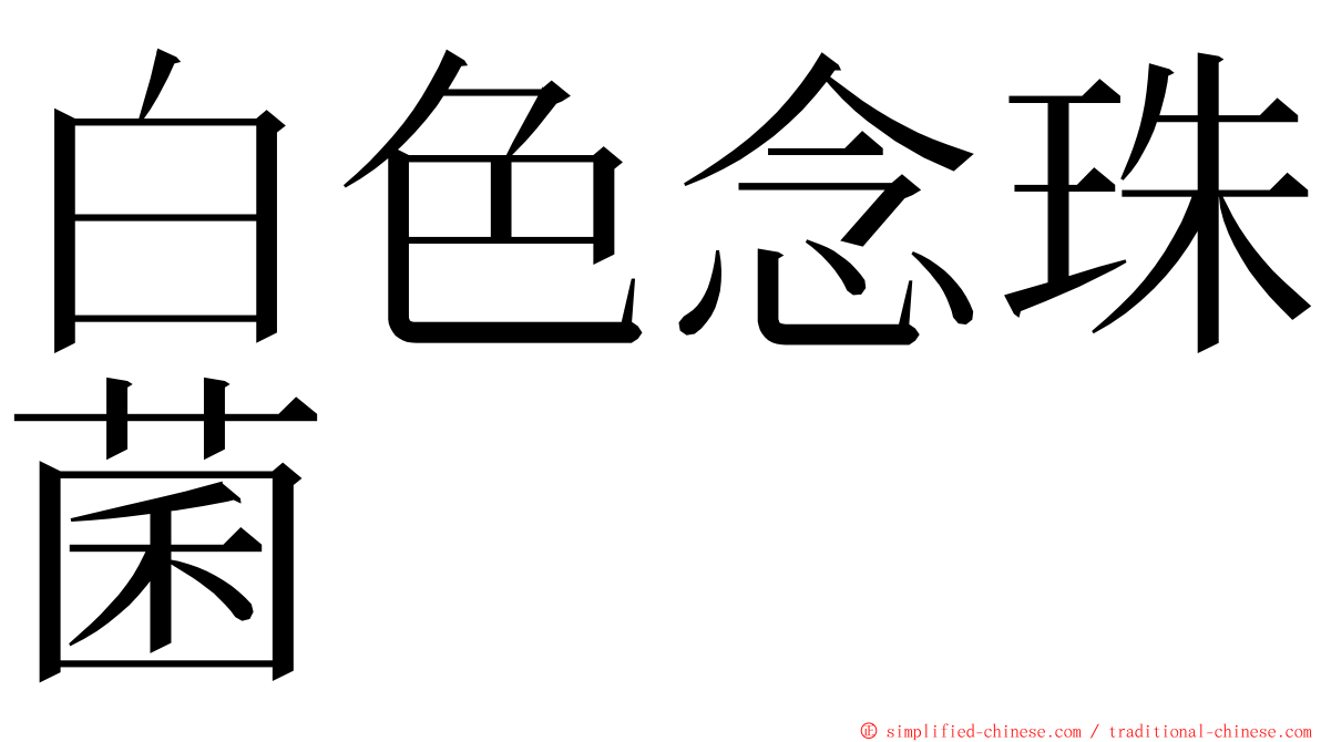 白色念珠菌 ming font
