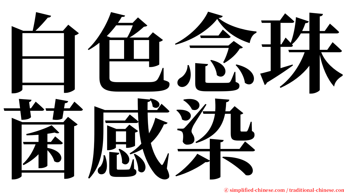 白色念珠菌感染 serif font