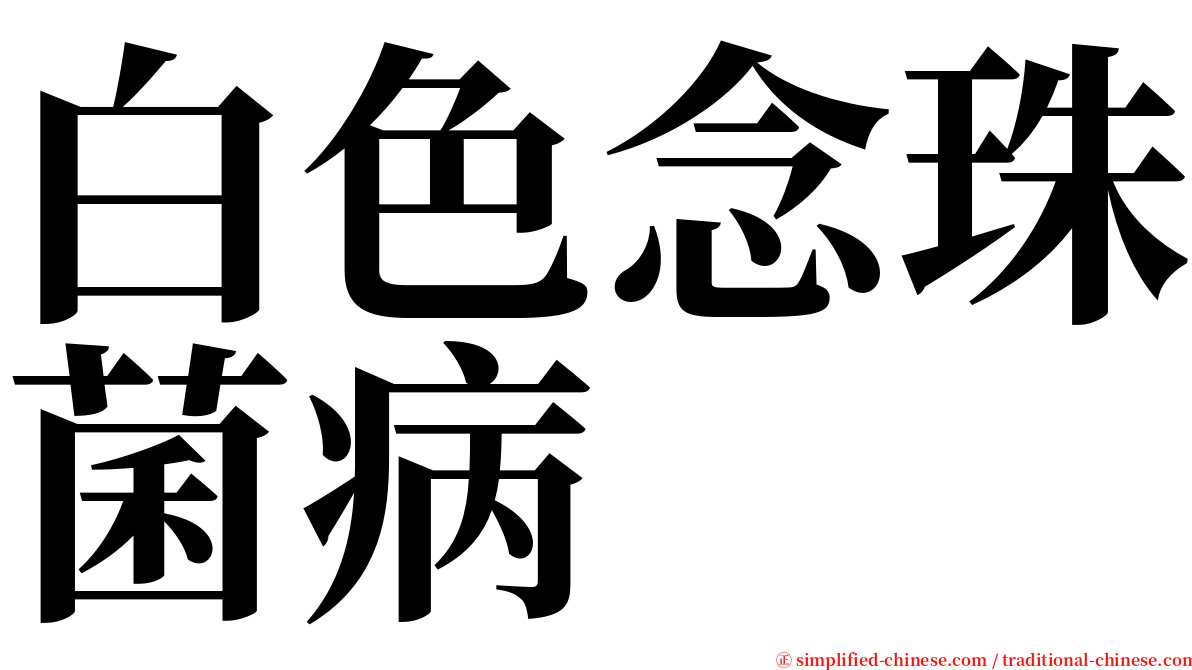 白色念珠菌病 serif font