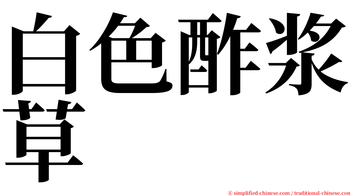 白色酢浆草 serif font