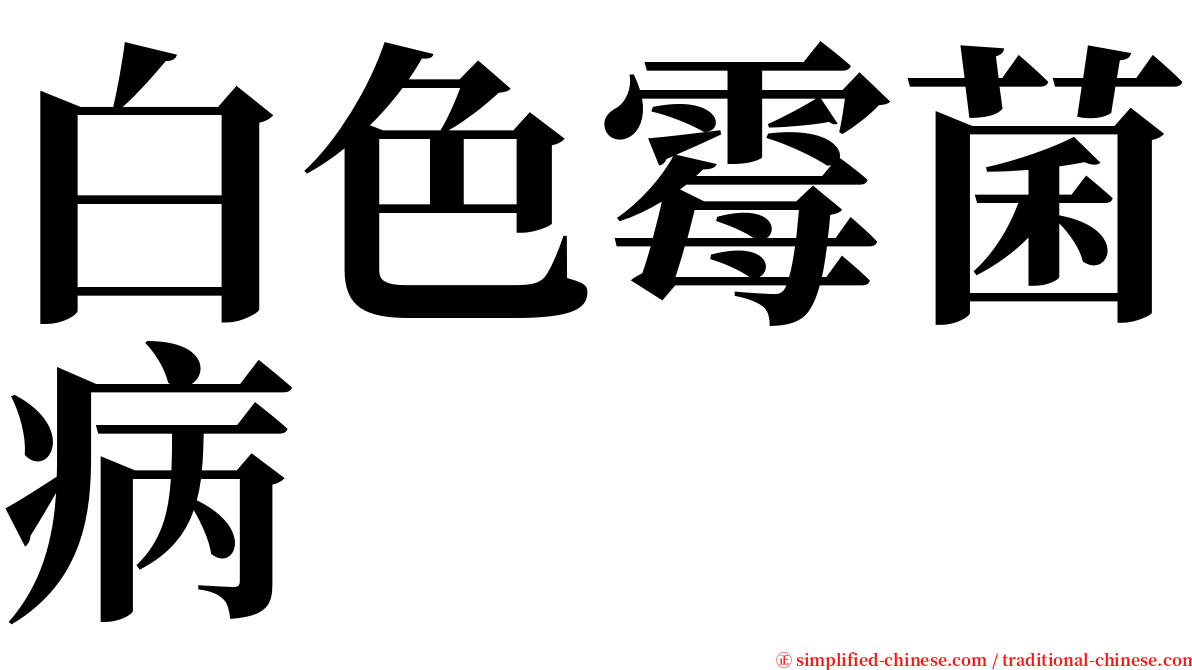 白色霉菌病 serif font