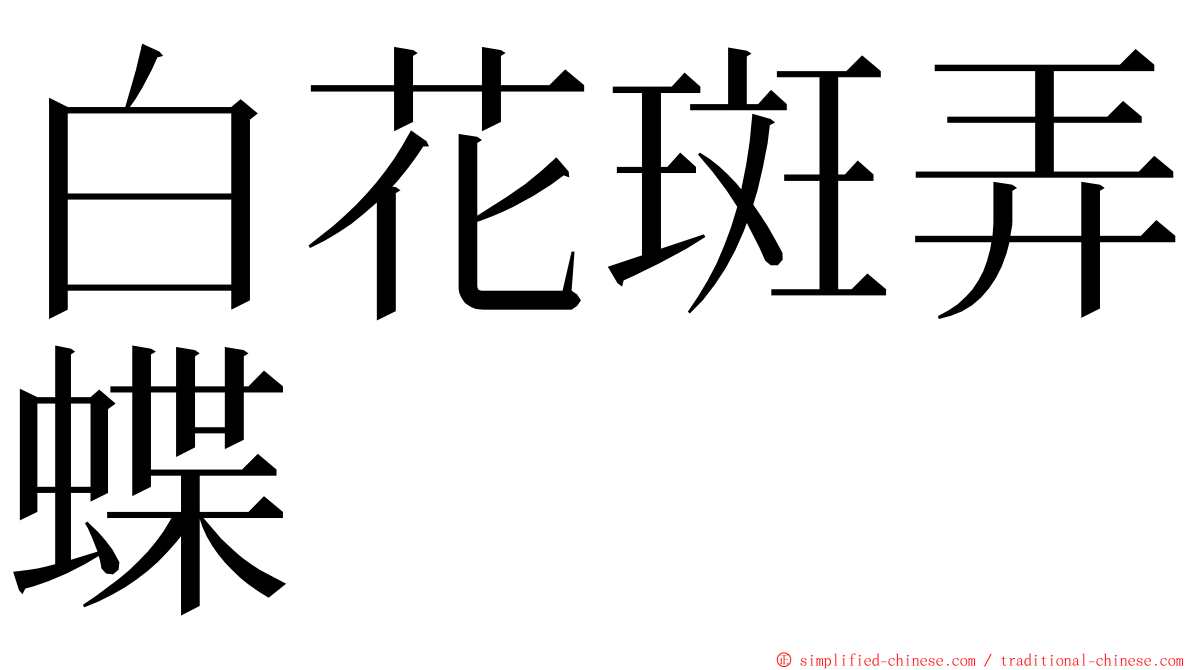 白花斑弄蝶 ming font