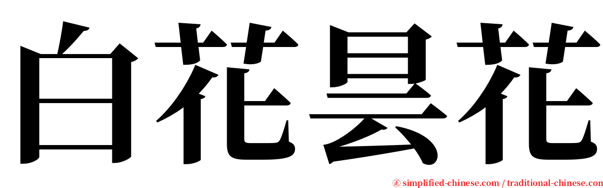 白花昙花 serif font