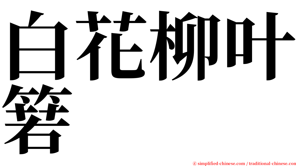 白花柳叶箬 serif font