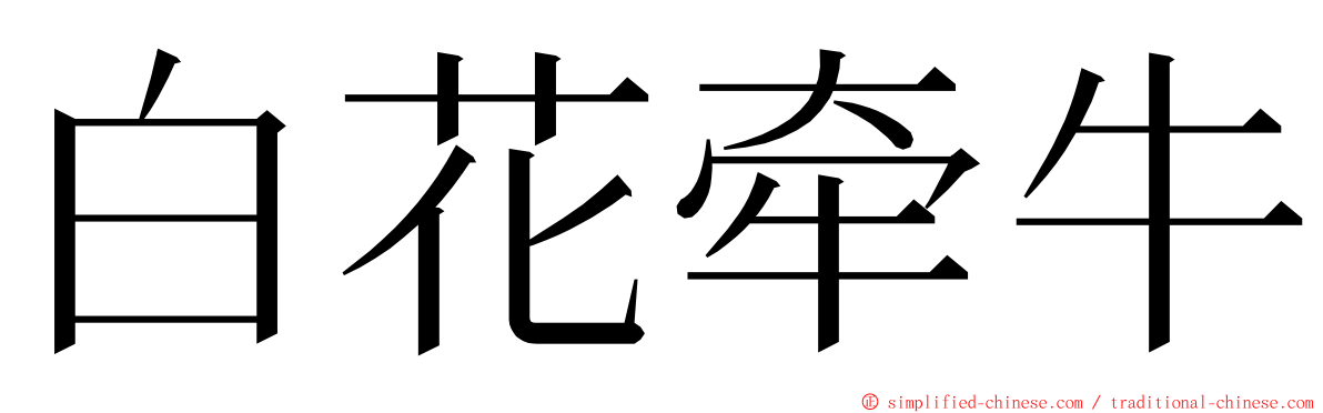 白花牵牛 ming font