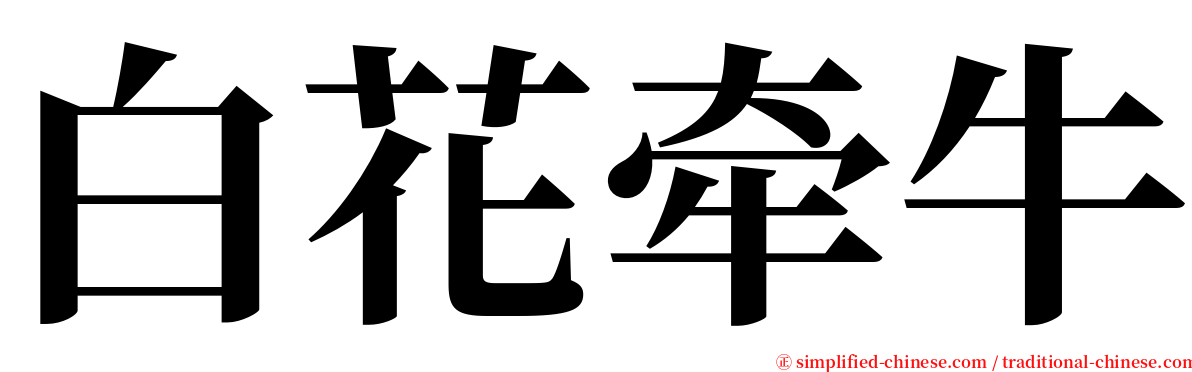 白花牵牛 serif font