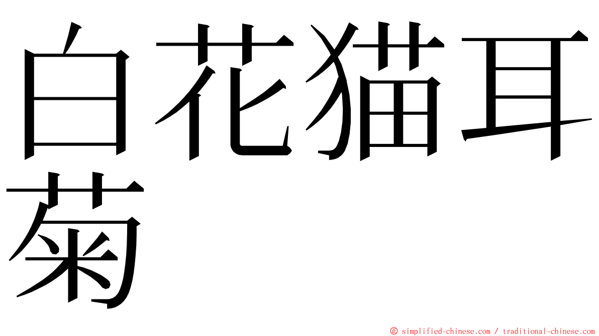 白花猫耳菊 ming font