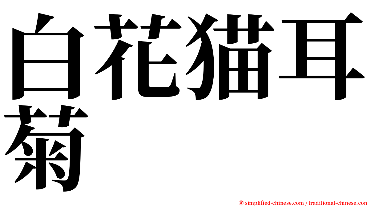 白花猫耳菊 serif font