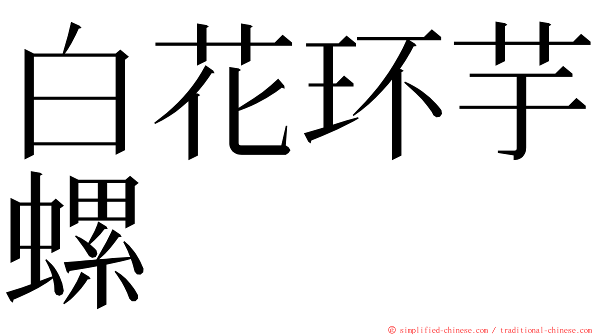 白花环芋螺 ming font