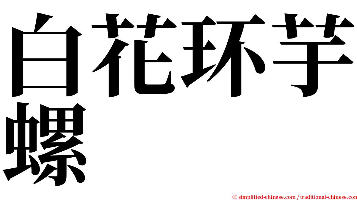 白花环芋螺 serif font