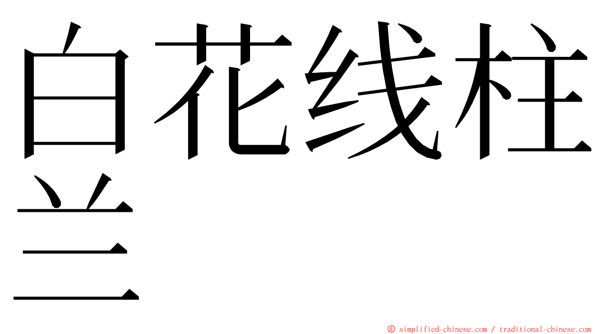 白花线柱兰 ming font