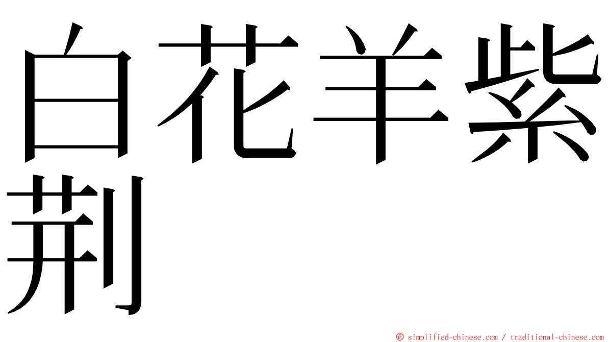 白花羊紫荆 ming font