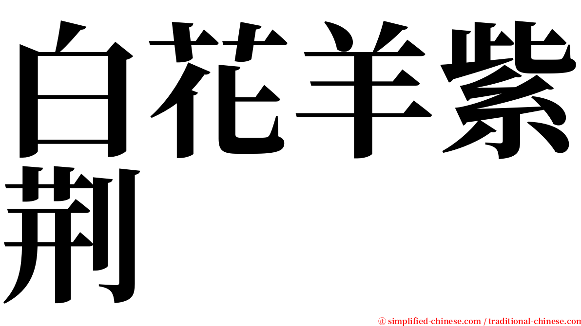 白花羊紫荆 serif font