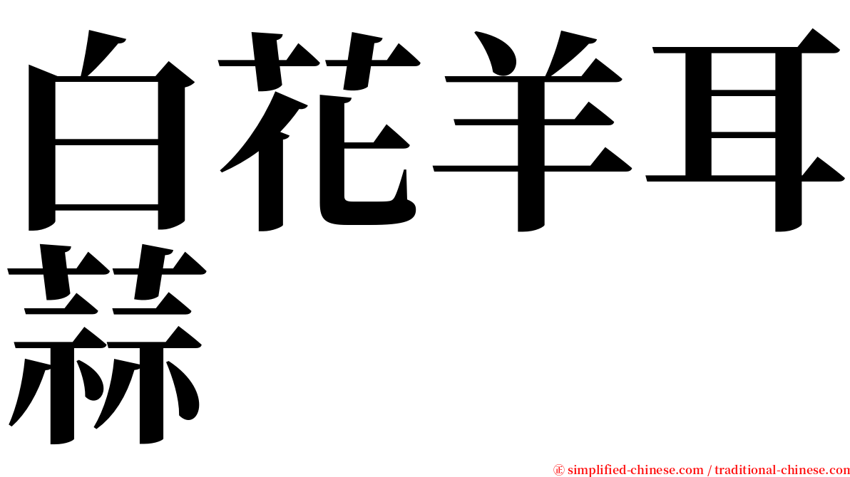 白花羊耳蒜 serif font