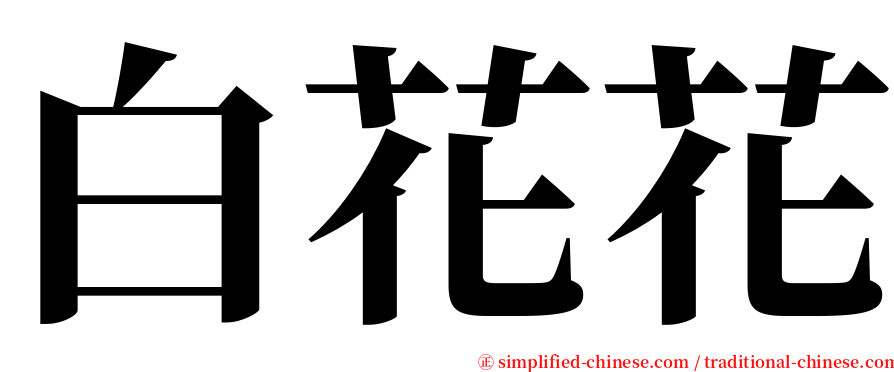 白花花 serif font