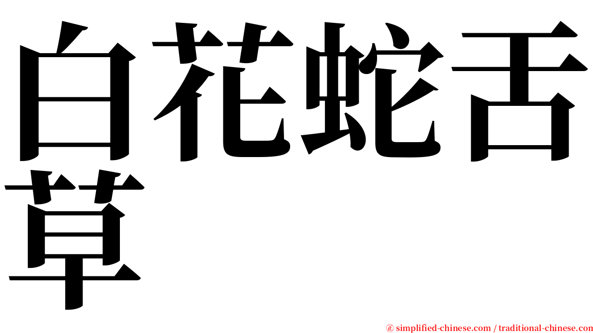 白花蛇舌草 serif font